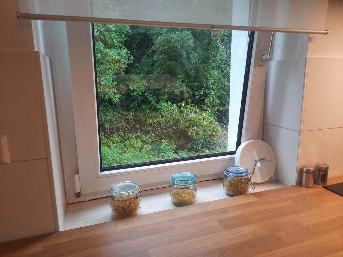 Precioso Apartamento, Aparcamiento Gratis Augustusburg Luaran gambar
